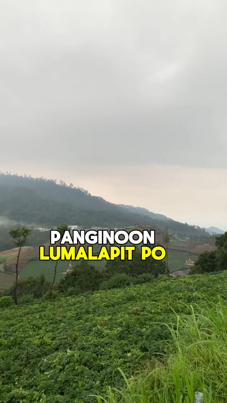 Ikaw na bahala GOD!