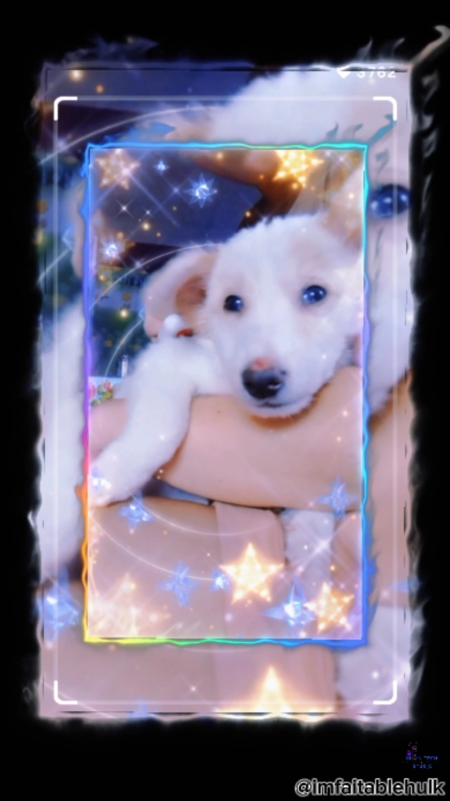 Uykulu Köpek Yavrusu 