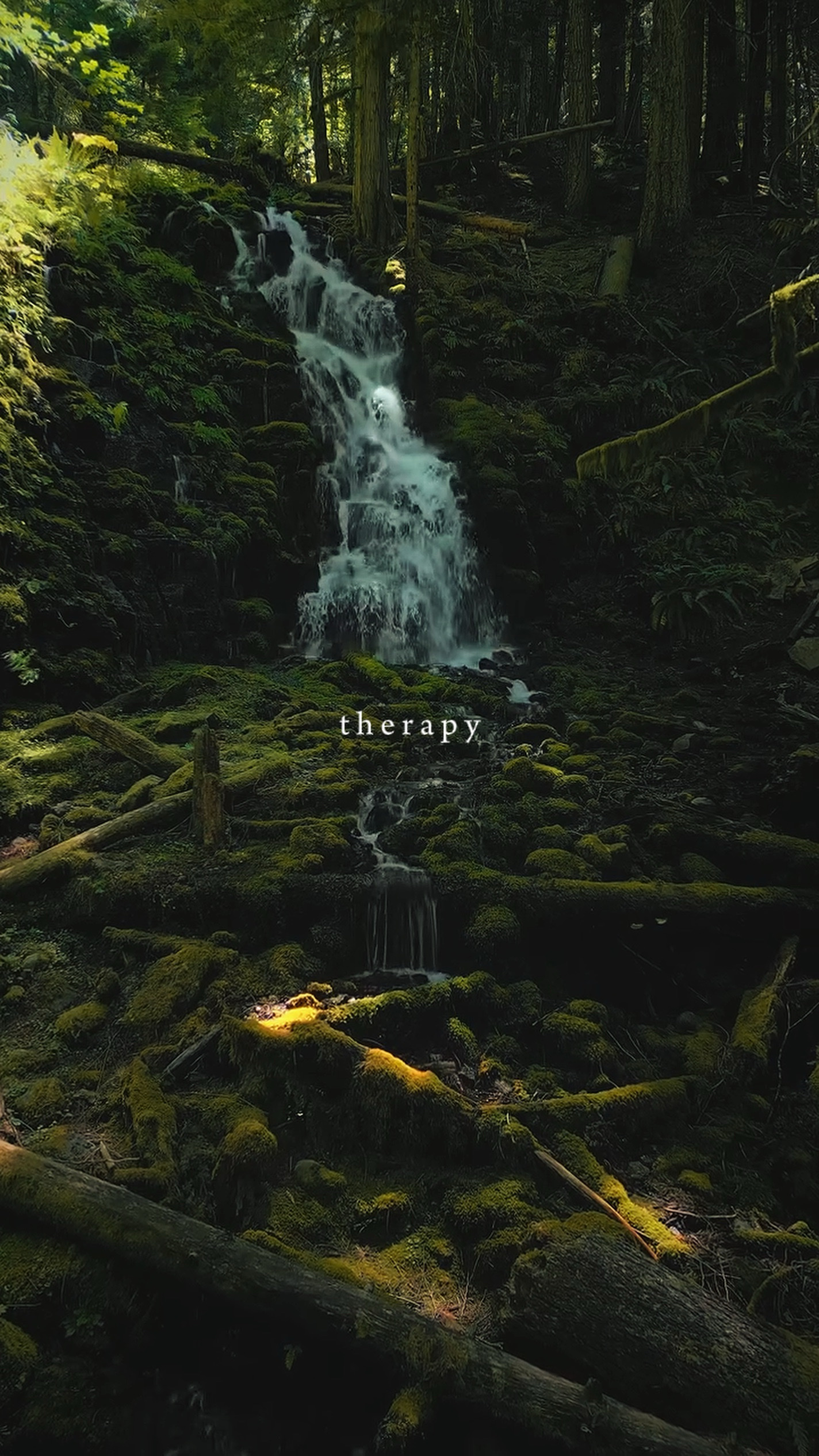 Therapy