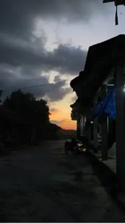filter senja