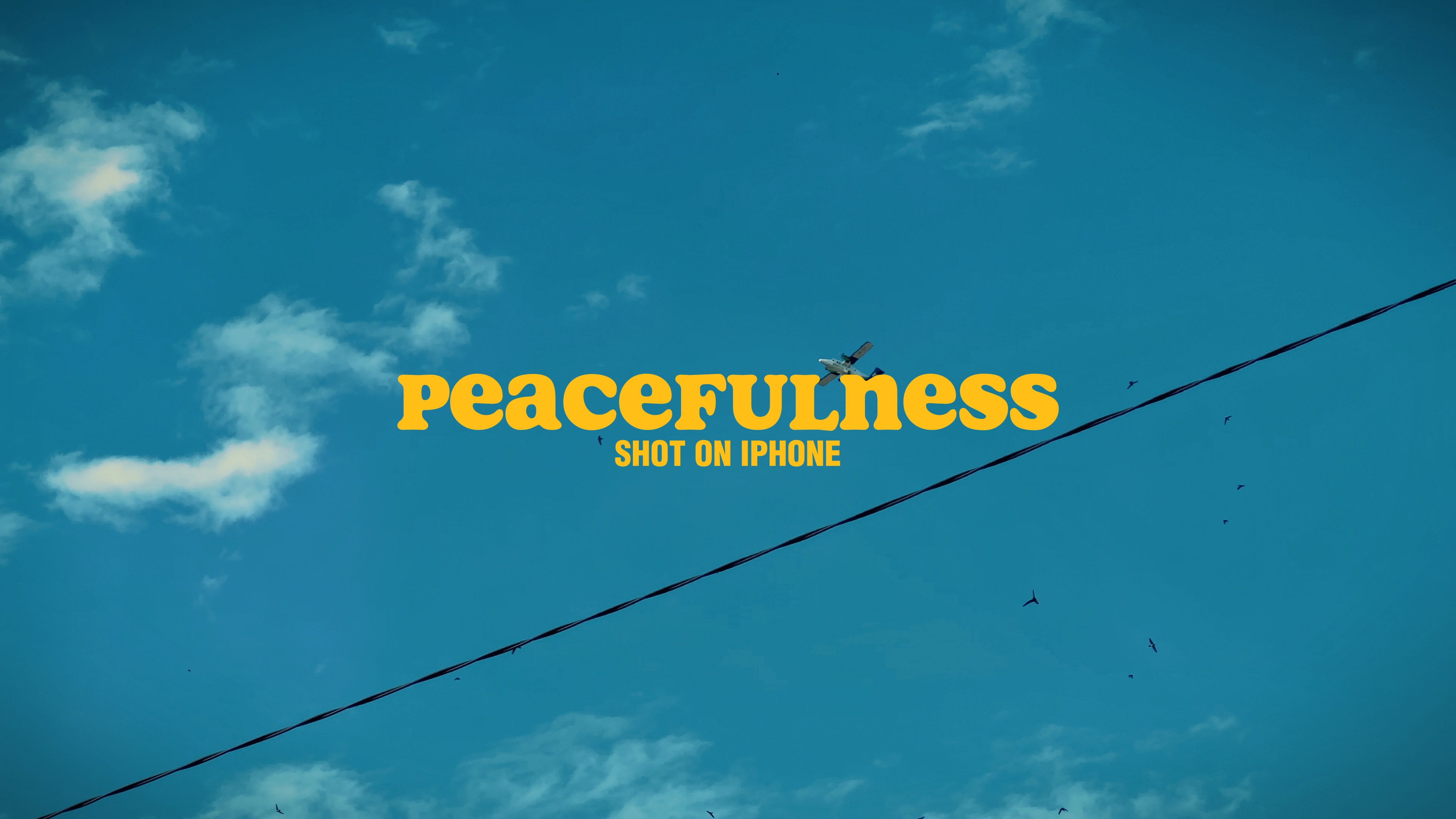 PEACEFULNESS 