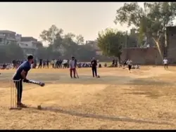 Cricket 🏏