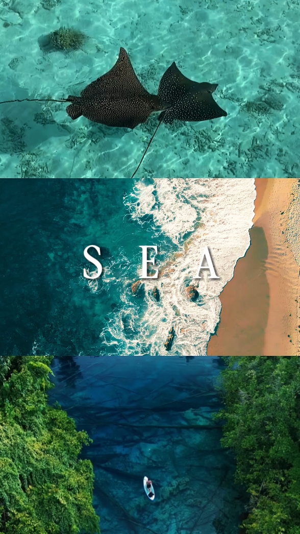 sea 