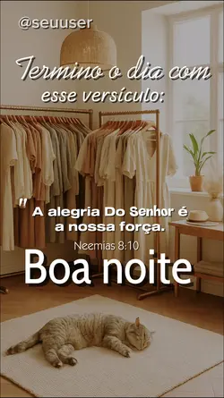 BOA NOITE / STORY 