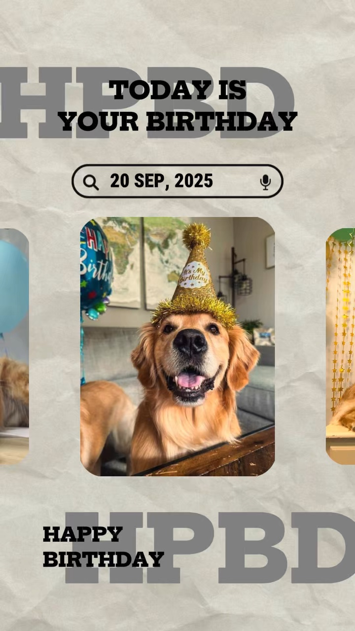 Anniversaire mon chien