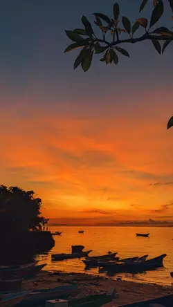 filter senja