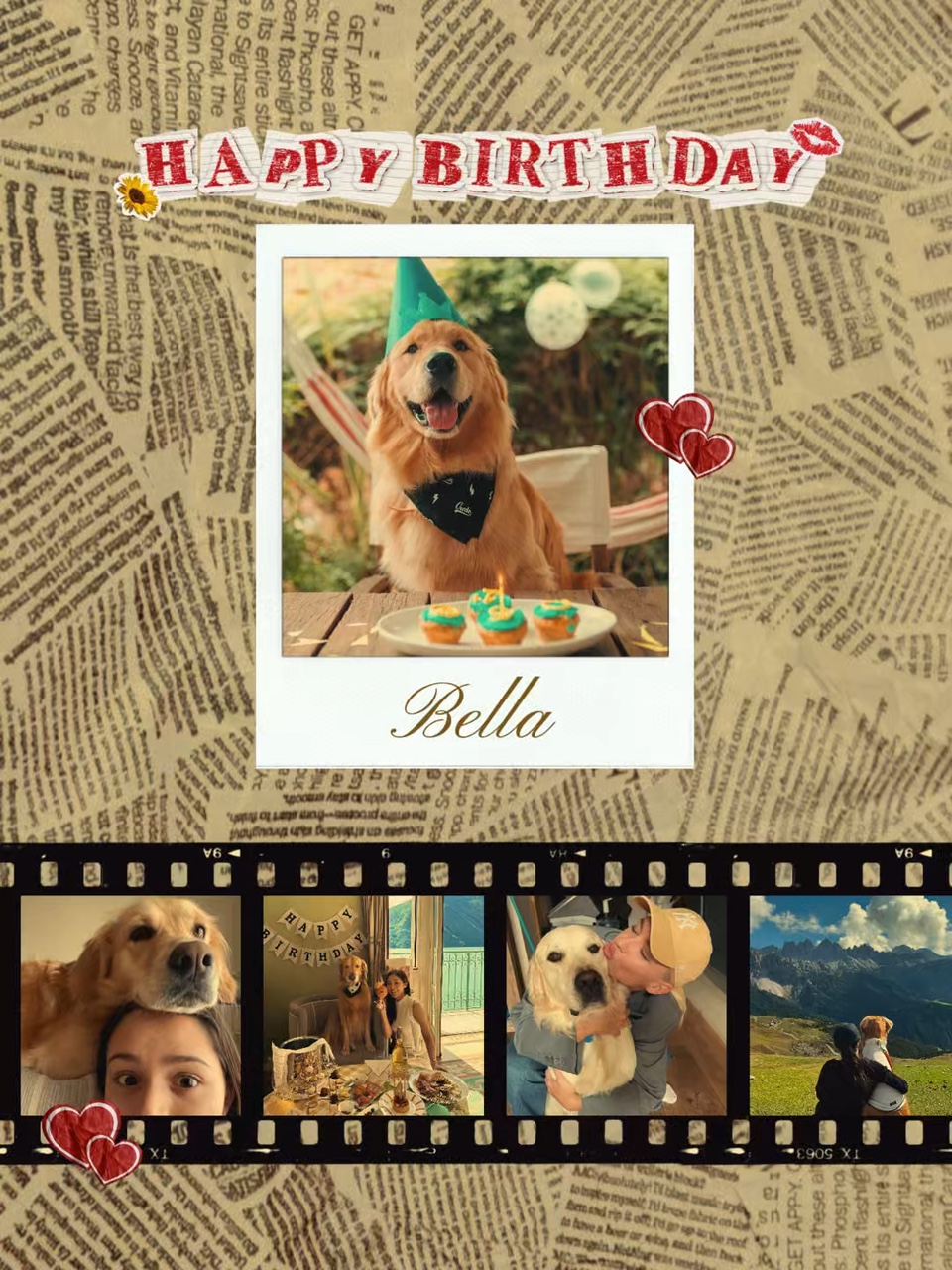 Birrhday dog (hund)