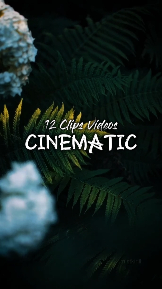 AESTHETIC VIDEOS