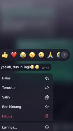 yaelah duo ini lagi