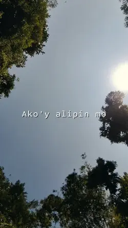 ALIPIN