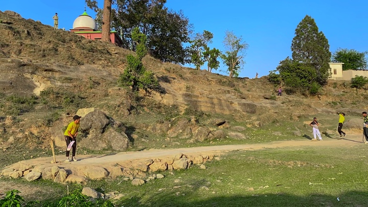 Cover Picture