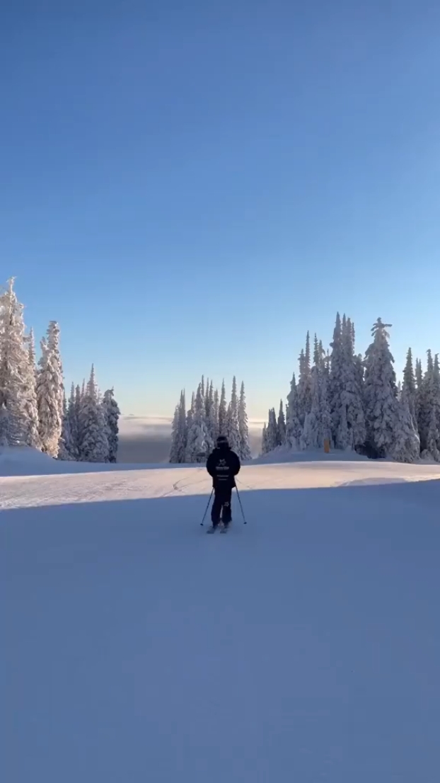 Ski Loos Controle 