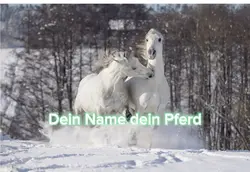 Dein Pferd dein Name
