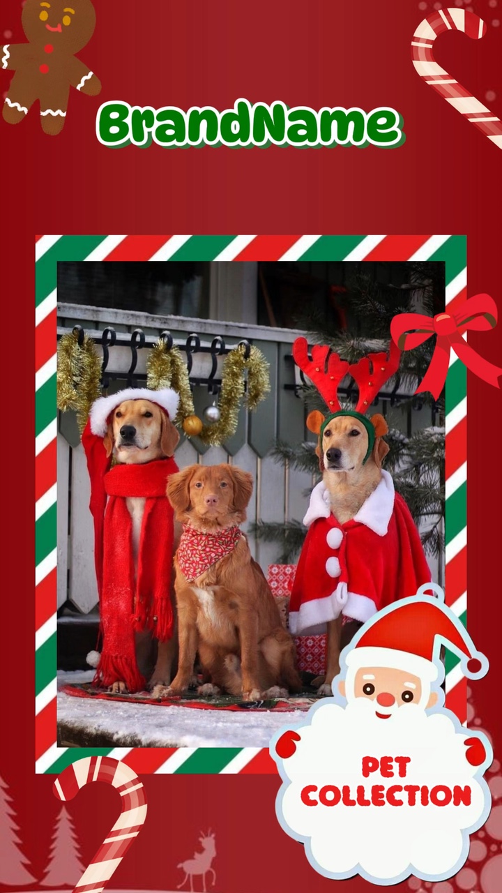 C2B- Publicité Christmas-Fashionable pour Toktok Style Pet
