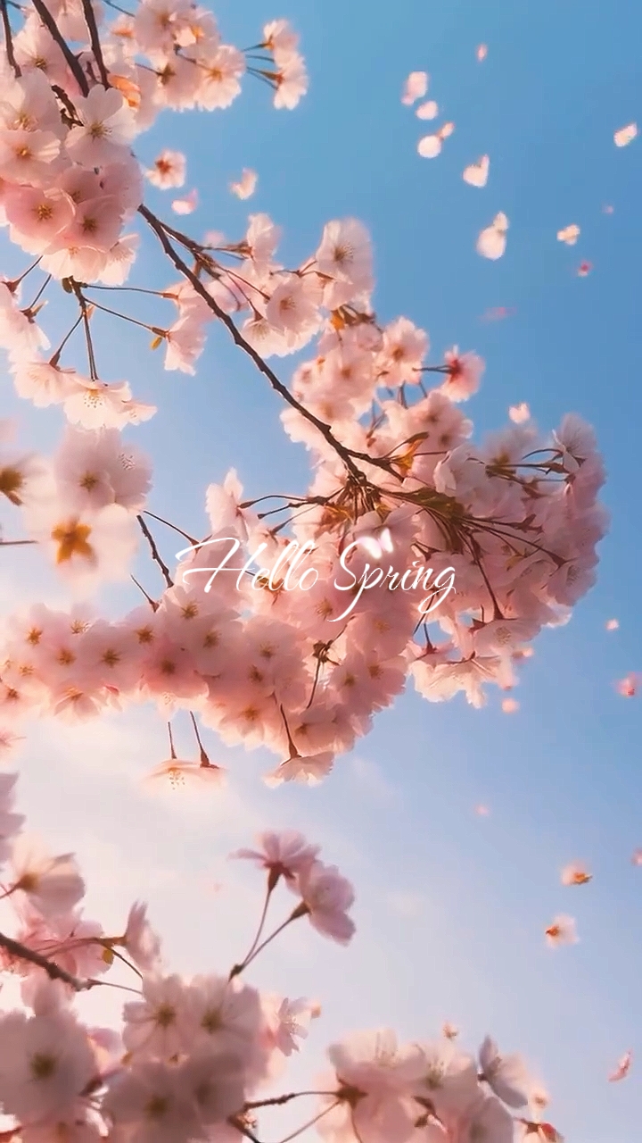 Olá Primavera 
