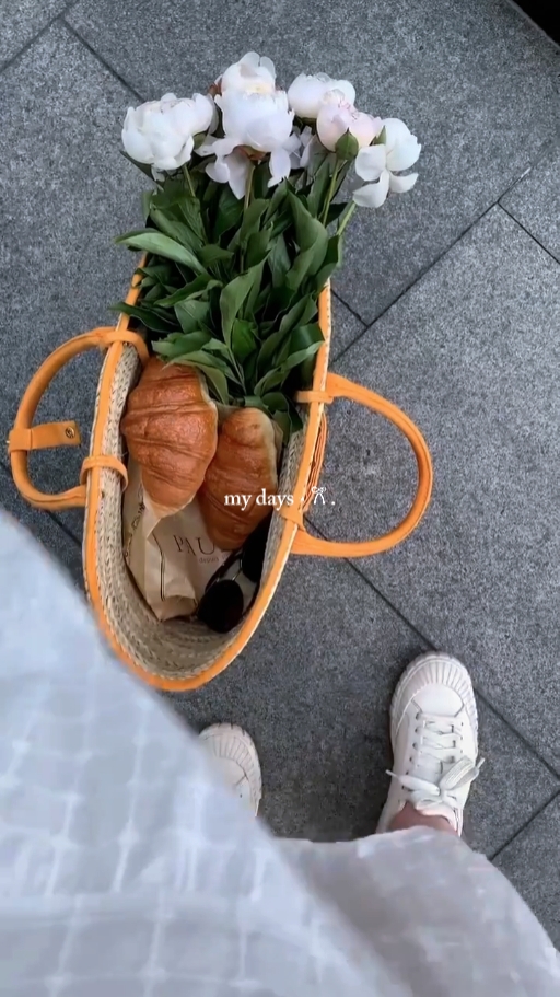 daily vlog 