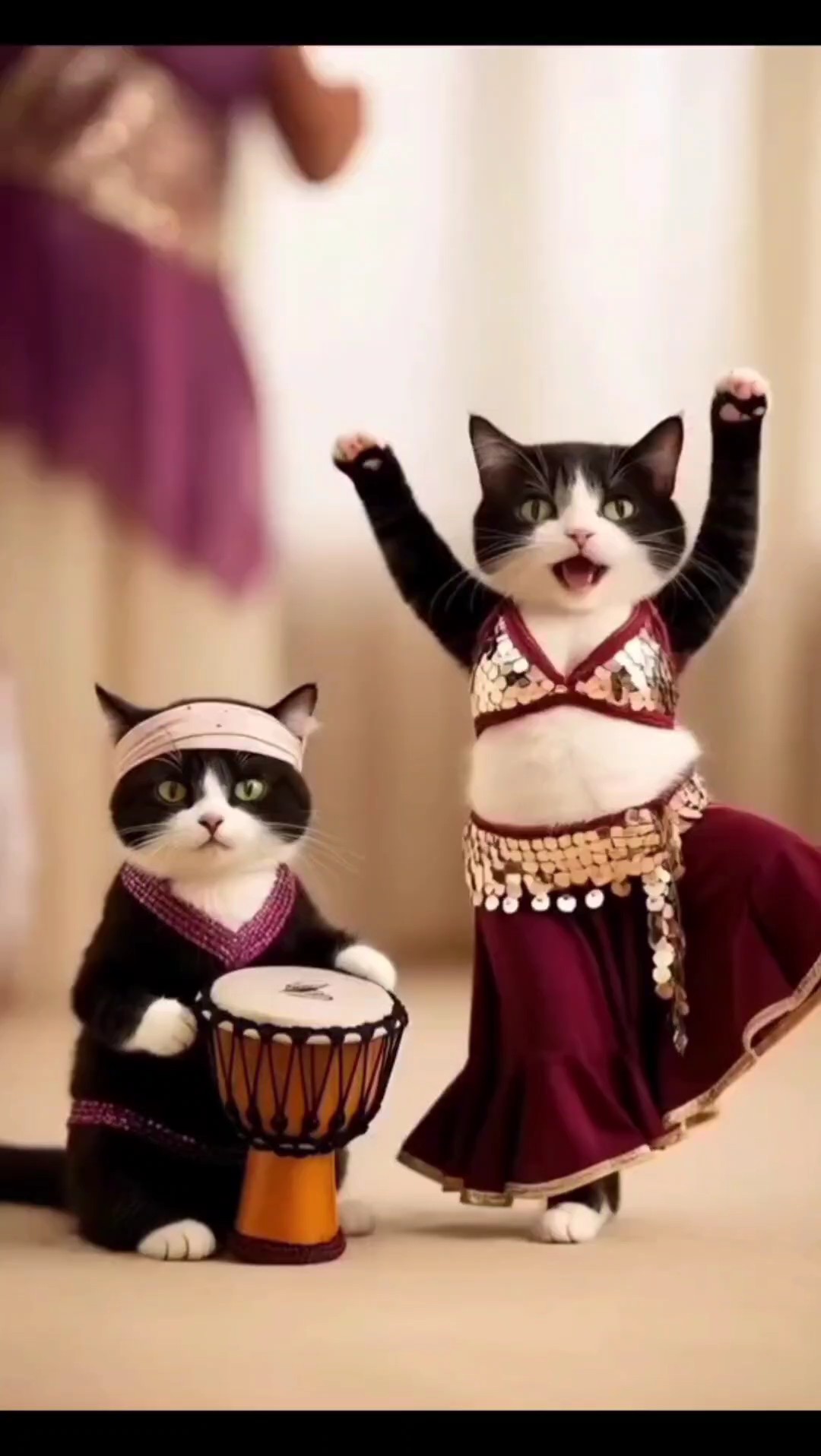 Katze lustig tanzen 