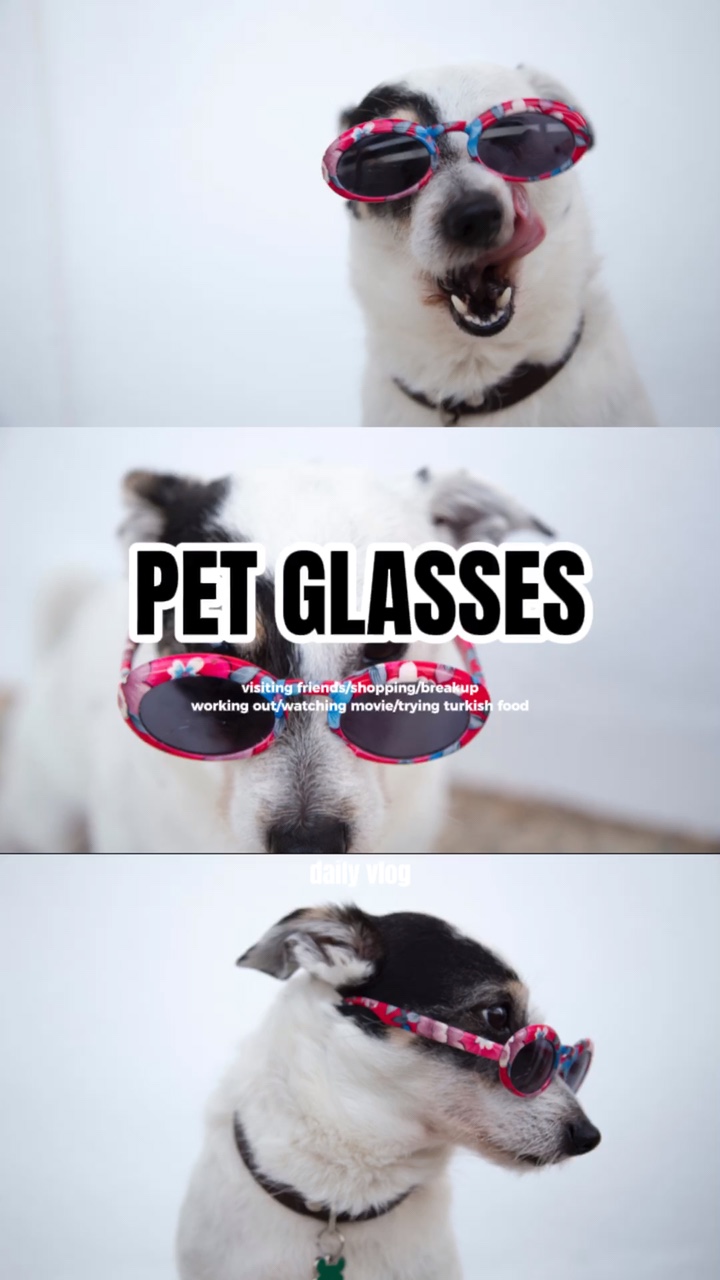 Mode Haustier Brille Produkt Tiktok Stil