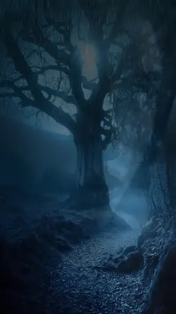DARK WOOD