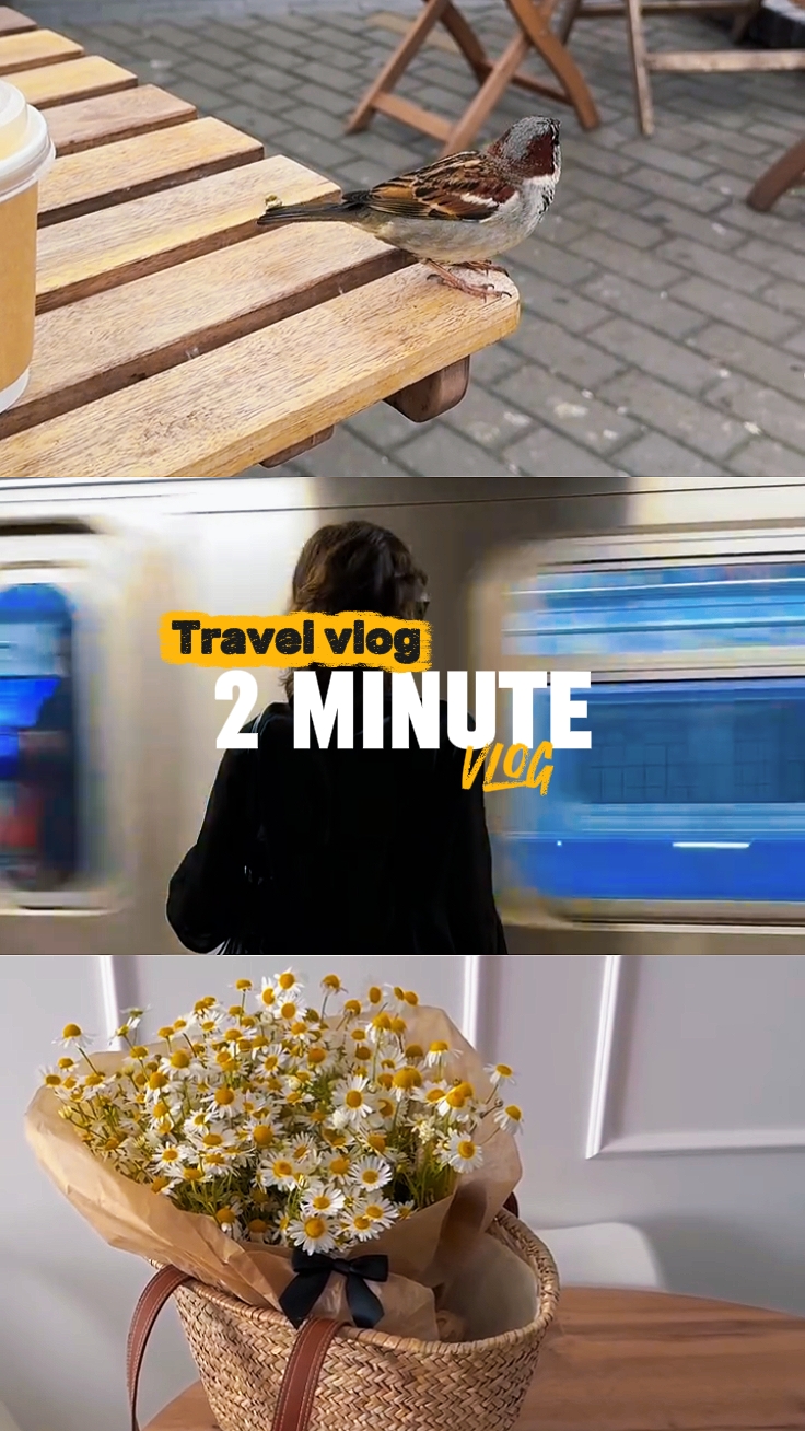 Video de 2 minutos 