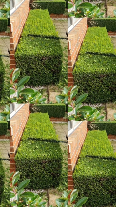 Gartenarbeit