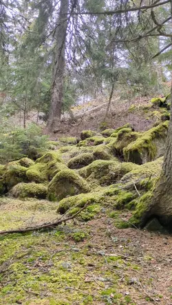"To be green”