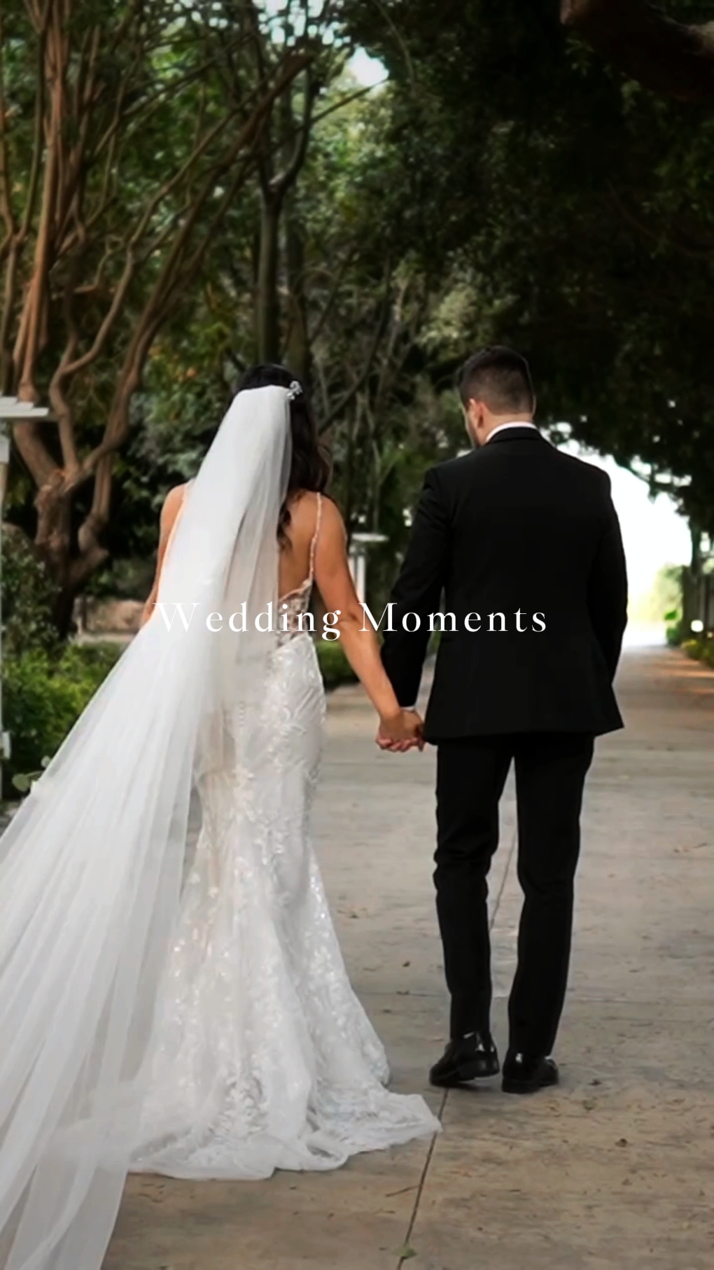 Moments de mariage 