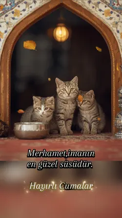 Cuma Mesajı Kediler