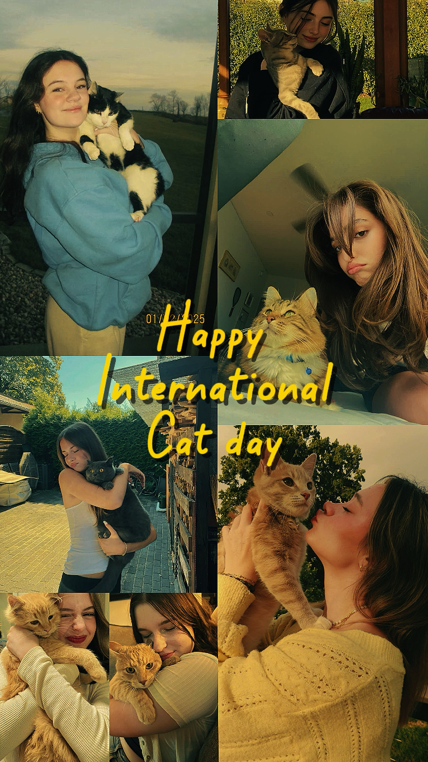 Selamat hari kucing
