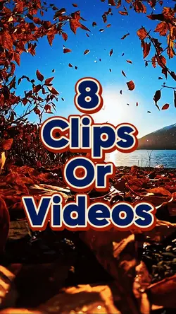 8 Clips 