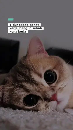 TIDUR SEBAB PENAT