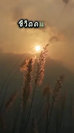 ชีวิตคนเรา มี 3 วัน