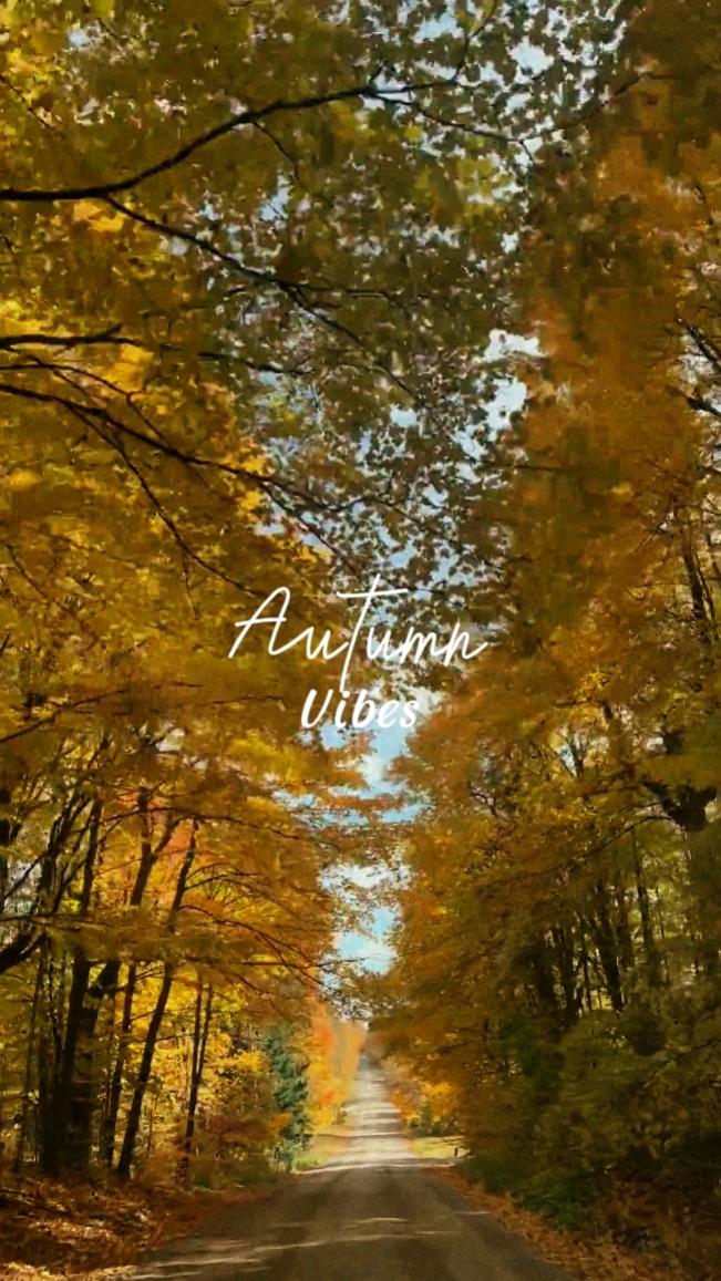 Autumn Vibes
