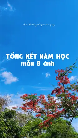 tổng kết năm học