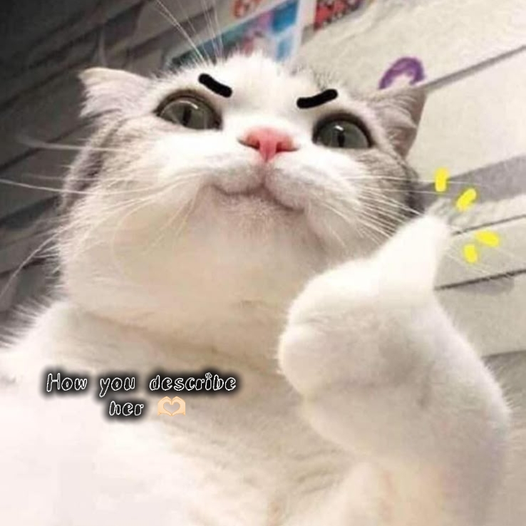 그녀를 묘사하는 방법