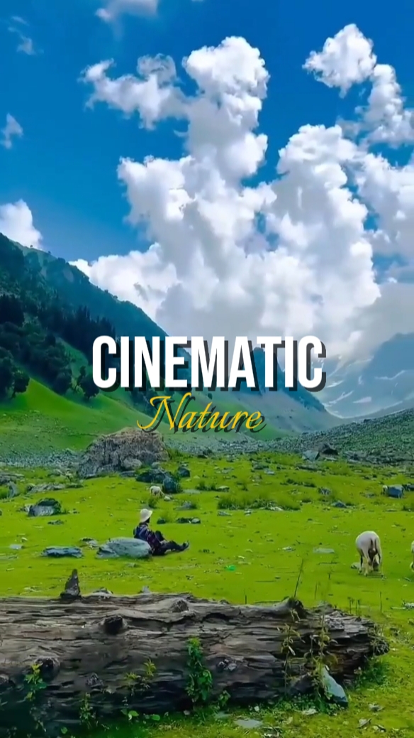 nature cinématographique