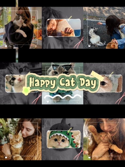 Feliz dia do gato