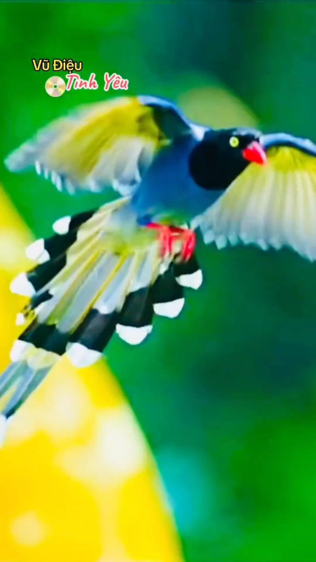 Thế giới động vật