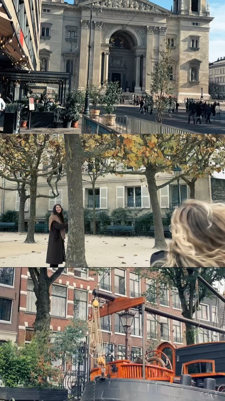 3 Grid Video 