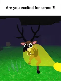 No