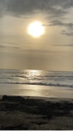 malam 