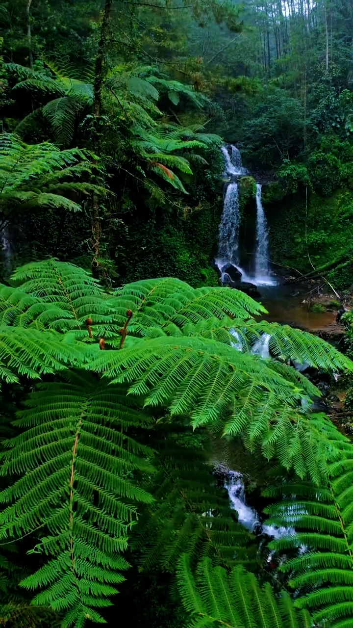 Vibes der Natur
