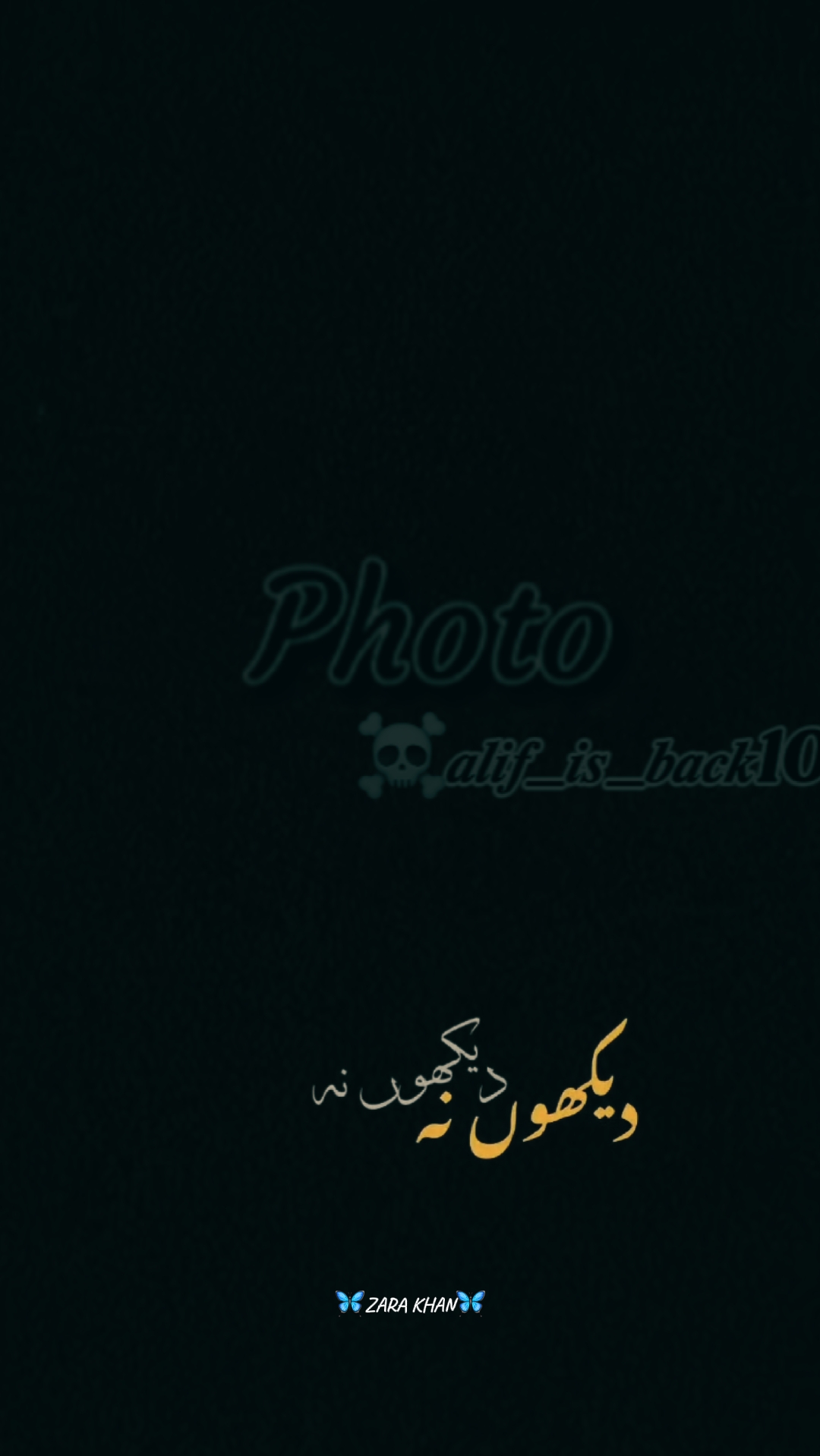 Cover Picture