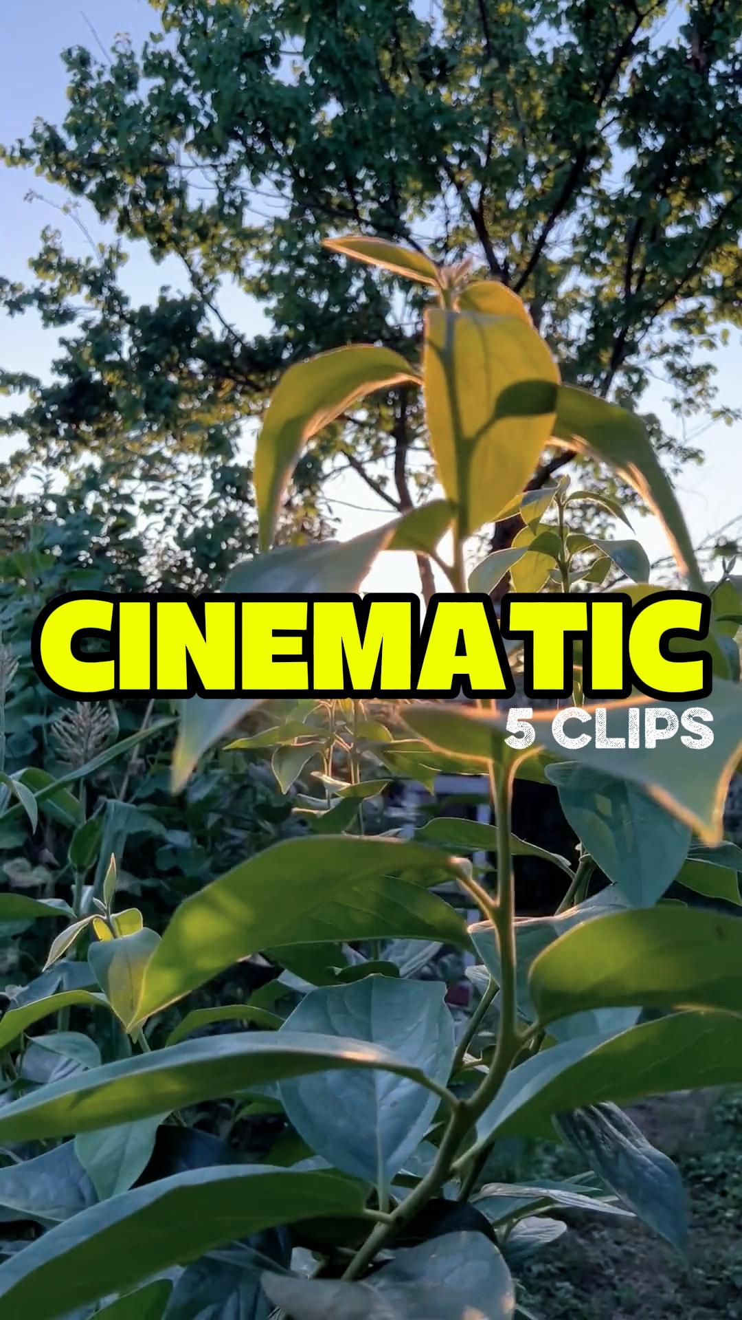 CINEMATIC 5 CLIPS 