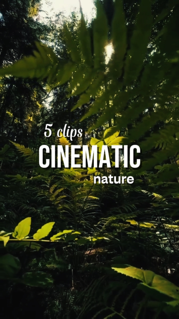NATUREZA CINEMÁTICA