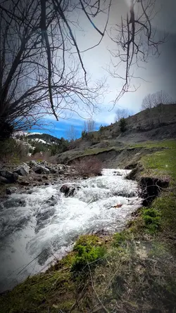 İnsan arada kalıyor
