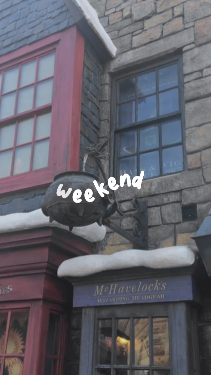 mini vlog