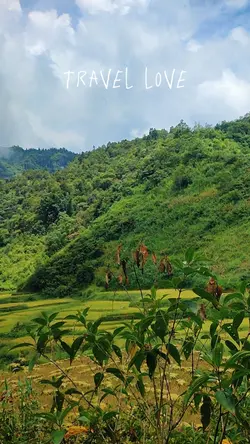 Travel Love
