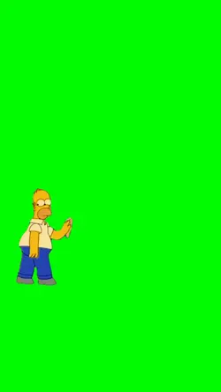 Homer Cleaning Car