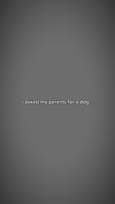 Name des Hundes